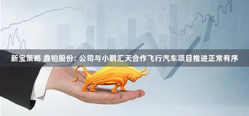 新宝策略 鑫铂股份: 公司与小鹏汇天合作飞行汽车项目推进正常有序