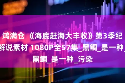 鸿满仓 《海底赶海大丰收》第3季纪录片解说素材 1080P全57集_黑鲷_是一种_污染