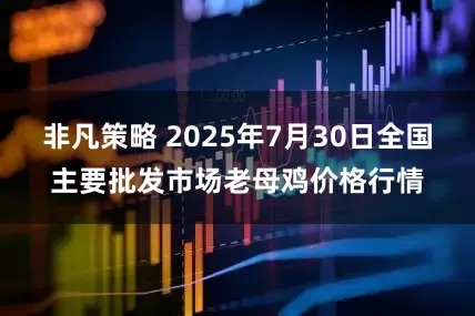 非凡策略 2025年7月30日全国主要批发市场老母鸡价格行情