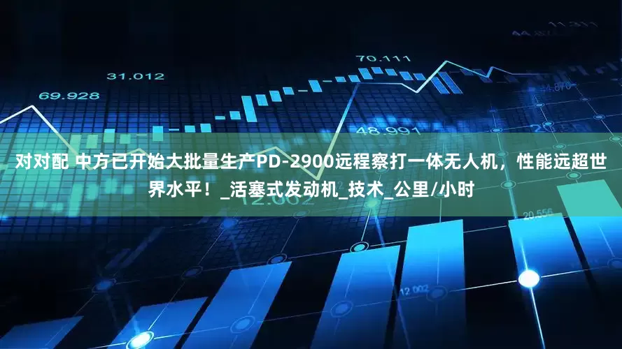 对对配 中方已开始大批量生产PD-2900远程察打一体无人机，性能远超世界水平！_活塞式发动机_技术_公里/小时