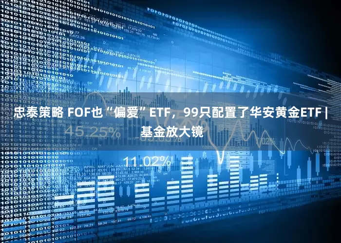 忠泰策略 FOF也“偏爱”ETF，99只配置了华安黄金ETF | 基金放大镜