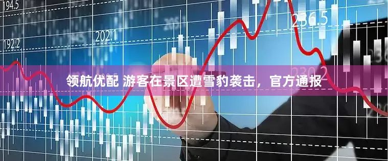 领航优配 游客在景区遭雪豹袭击，官方通报