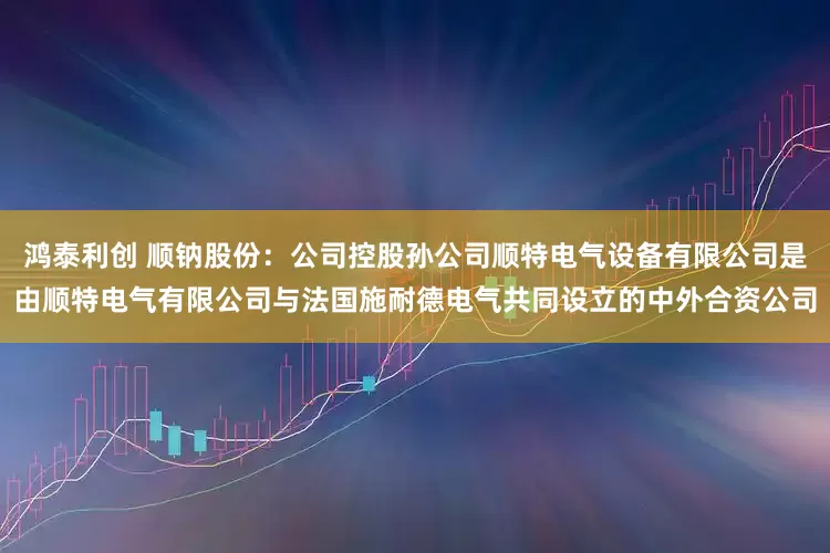 鸿泰利创 顺钠股份：公司控股孙公司顺特电气设备有限公司是由顺特电气有限公司与法国施耐德电气共同设立的中外合资公司