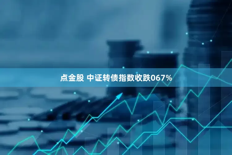 点金股 中证转债指数收跌067%